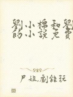 刘小棉和刘易文的小说免费阅读封面