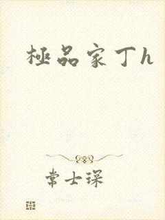 极品家丁h