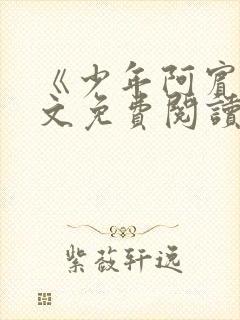 《少年阿宾》全文免费阅读
