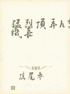 猛烈顶弄h禁欲机长封面