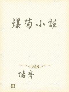爆菊小说