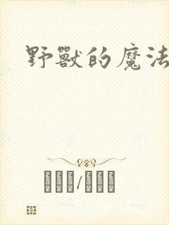 野兽的魔法师