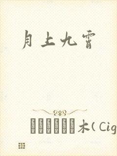 月上九霄