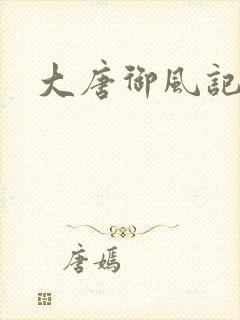 大唐御风记