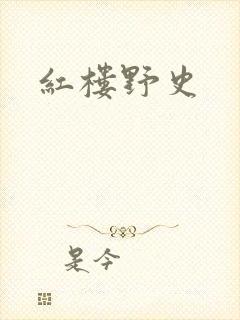 红楼野史