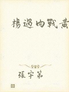 杨过肉战黄蓉
