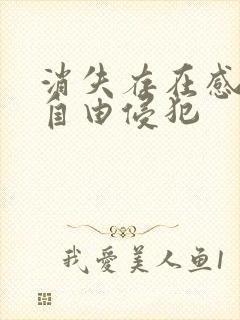 消失存在感消失自由侵犯
