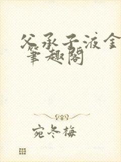 父承子液金银花 笔趣阁封面
