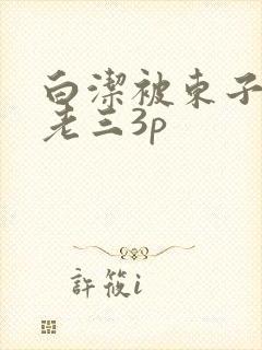 白洁被东子老二老三3p