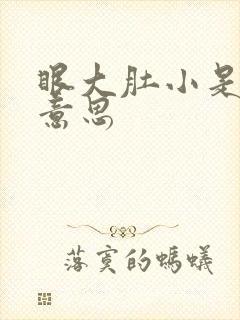 眼大肚小是什么意思封面