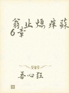 翁止熄痒苏玥第6章