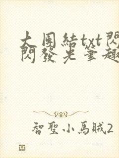 大团结txt闪闪发光笔趣阁