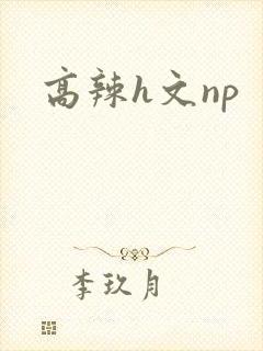 高辣h文np