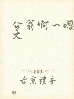 公翁啊～嗯啊h文