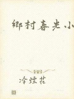 乡村春光小说