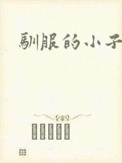 驯服的小子4封面