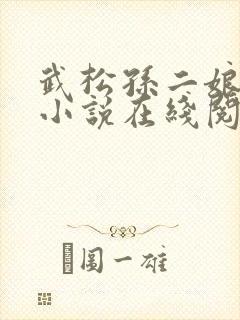 武松孙二娘云雨小说在线阅读