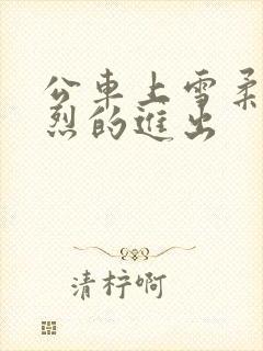 公车上雪柔被猛烈的进出