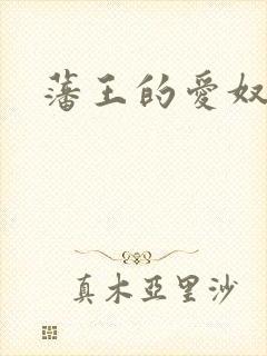 藩王的爱奴
