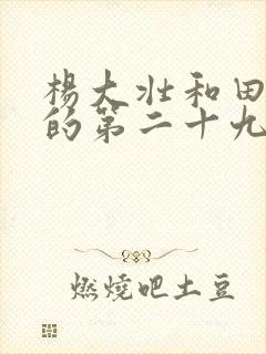 杨大壮和田桂花的第二十九封面