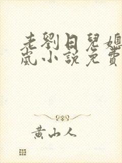 老刘日儿媳妇张岚小说免费阅读封面