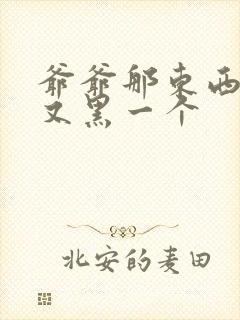 爷爷那东西又大又黑一个封面