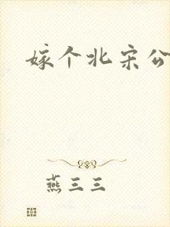 嫁个北宋公务员
