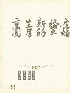 重生新婚夜正在圆房的军婚