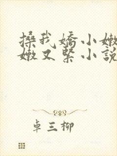 搡我娇小嫩苞又嫩又紧小说
