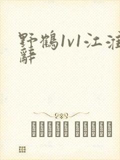 野鹤1v1江淮辞