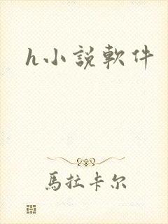 h小说软件