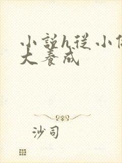 小说h从小做到大养成封面