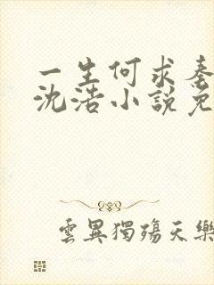 一生何求秦菲雪沈浩小说免费阅读全文