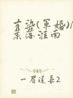 有染(军婚)/叶落淮南封面
