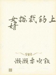 女总裁的上门女婿