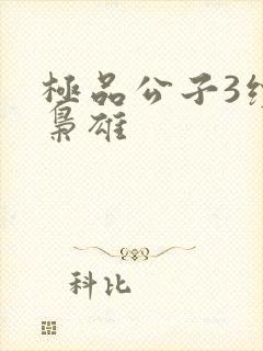 极品公子3续世枭雄