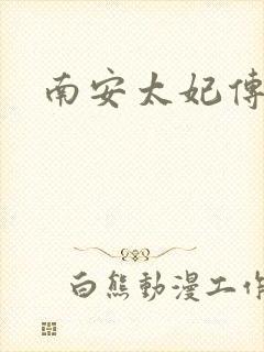 南安太妃传封面