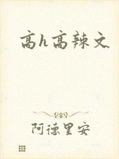 高h高辣文封面