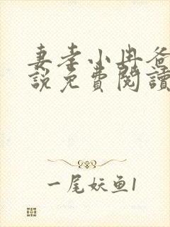 妻孝小冉爸爸小说免费阅读封面