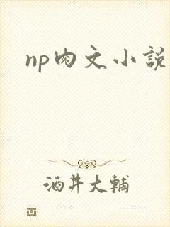 np肉文小说封面