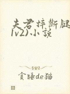 夫君摔断腿后(1v2)小说