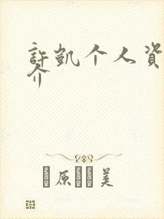 许凯个人资料简介