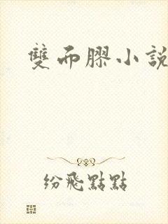 双面胶小说