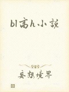 bl高h小说