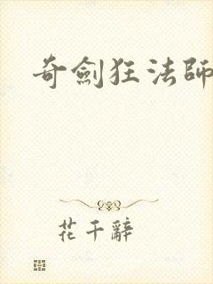 奇剑狂法师封面