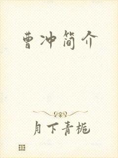 曹冲简介