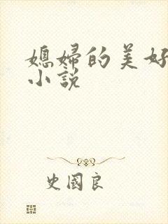 媳妇的美好时代小说封面