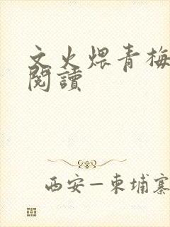 文火煨青梅免费阅读