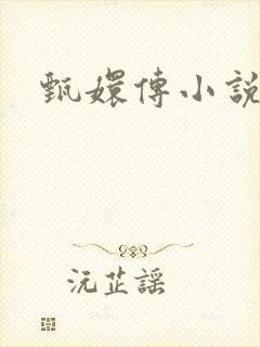 甄嬛传小说