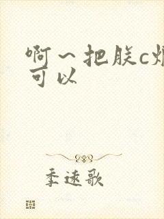 啊～把朕c烂都可以封面